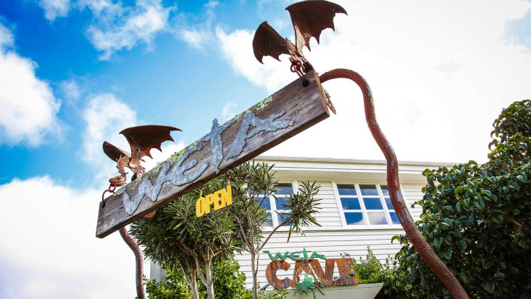 visitor info get to weta